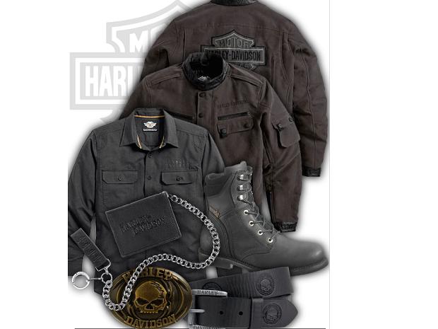 Cazadora Harley Davidson hombre