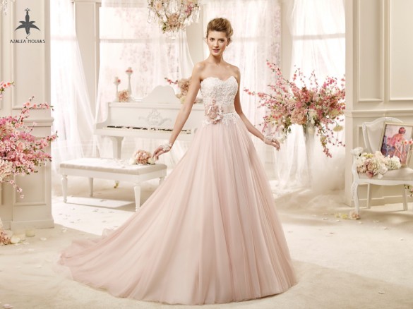 Azalea novias (3)