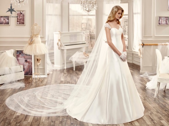 Azalea novias (7)