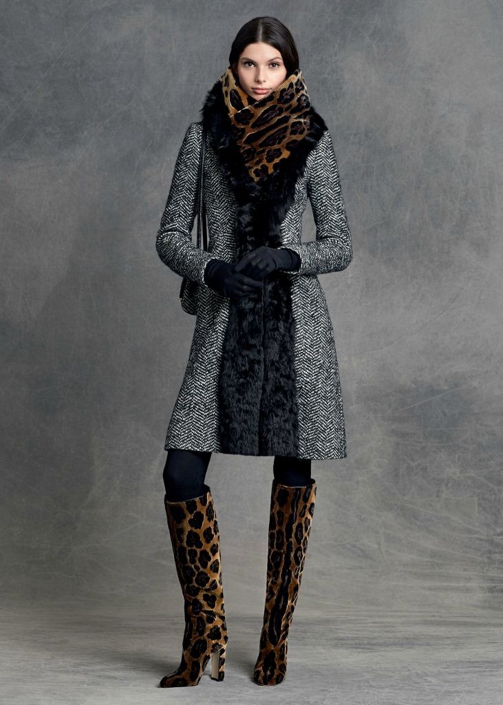animal print D&G