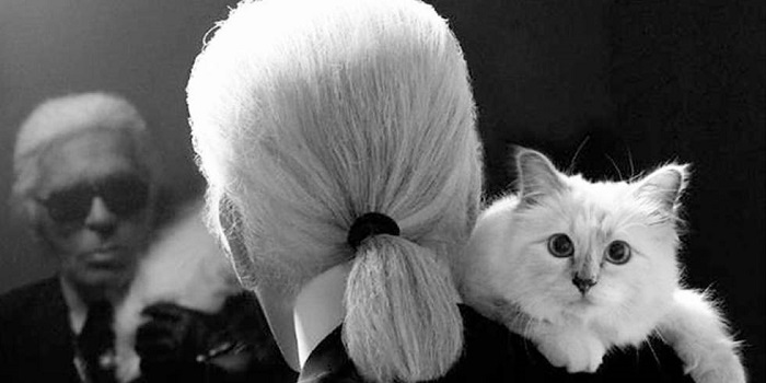 Choupette (3)