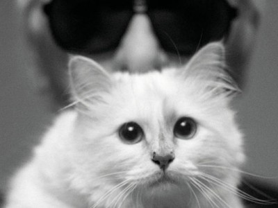 Choupette, el gran amor de Karl Lagerfeld